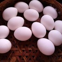 自制咸鸡蛋的做法图解1