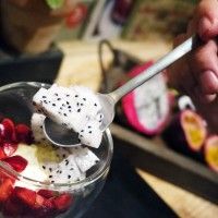 熱帶水果优格冰淇淋的做法图解3