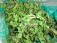 荠菜饼的做法图解1