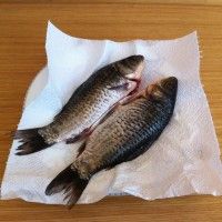 挑逗味蕾的鲫鱼做法——干烧鲫鱼的做法图解1