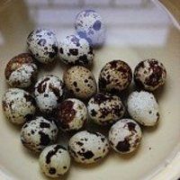 鹌鹑蛋红烧肉的做法图解3