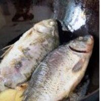 鲫鱼豆腐汤的做法图解2