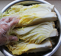 辣白菜的做法图解1
