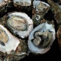 烤生蚝的做法图解1