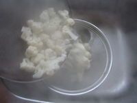 很下饭的美味家常菜----干锅花菜的做法图解2
