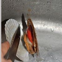 蒜蓉粉丝蒸扇贝的做法图解2
