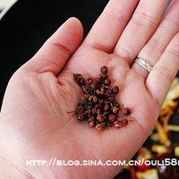 麻辣香锅鸡翅的做法图解11