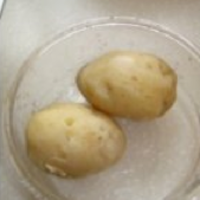 土豆糯米饼的做法图解4