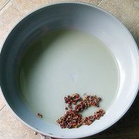大盘鸡的做法图解3
