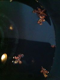 笋干啤酒焖五花的做法图解8