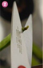 盐水煮毛豆的做法图解2