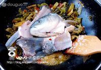 酸菜鱼的做法图解4