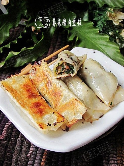 荠菜猪肉锅贴的做法