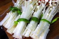 石锅烧排骨的做法图解4