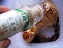 香烤琵琶腿的做法图解2
