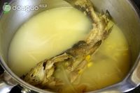黄豆芽鲶鱼汤的做法图解5