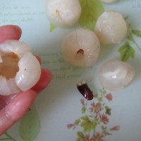 膳食荔枝鸡球的做法图解5