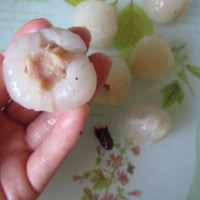 膳食荔枝鸡球的做法图解6