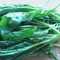 夏季养生菜:核桃杏仁菠菜的做法图解2