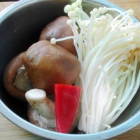 蚝油扒鲜菇的做法图解1
