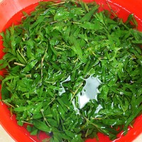 妈妈的味道—山苜楂虾仁饺子的做法图解1