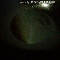 饭扫光:萝卜干炒四季豆的做法图解4