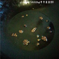 饭扫光:萝卜干炒四季豆的做法图解5
