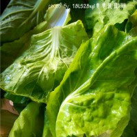 青菜火腿豆腐羹的做法图解1