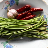 野芹菜炒肉的做法图解2
