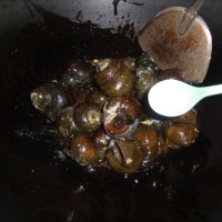 香辣田螺的做法图解5
