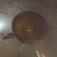 酱拌土豆条的做法图解5