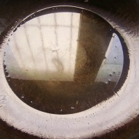 葱油金针菇的做法图解6