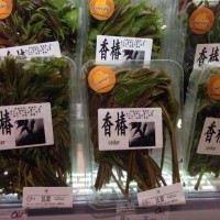 香椿烧豆腐的做法图解8