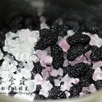 唯有果酱最春天--桑葚果酱的做法图解3