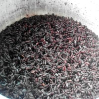 黑糯米芒果糖水的做法图解3