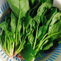 青翠欲滴的菠菜的做法图解1