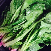 青翠欲滴的菠菜的做法图解2