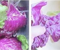 油醋汁蔬菜沙拉的做法图解4
