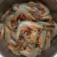 蒸大明虾的做法图解2
