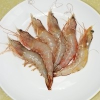 ڼϲӲϵ------[˴Ϻ]ͼ1