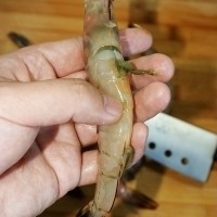ڼϲӲϵ------[˴Ϻ]ͼ3