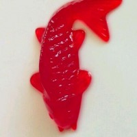 连年有鱼的做法图解7