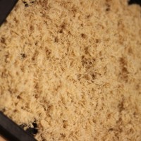 松松 面包机版肉松的做法图解1