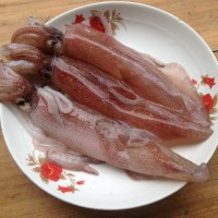 家常菜:原汁原味白灼鲜鱿的做法图解1