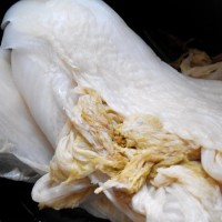 东北酸菜系列——猪肉酸菜水饺的做法图解3
