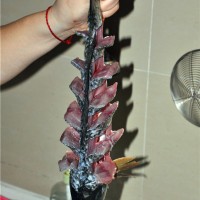 糖醋黄河鲤鱼--详解头牌鲁菜的做法图解3