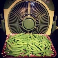 梅干菜干煸刀豆(四季豆)的做法图解3
