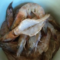 粉丝蒜蓉虾的做法图解3