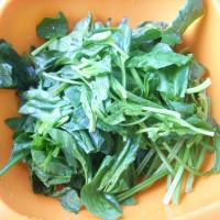 芝麻蛋皮拌菠菜的做法图解1