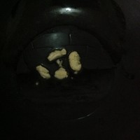 家常菜:罗勒炒花甲的做法图解3